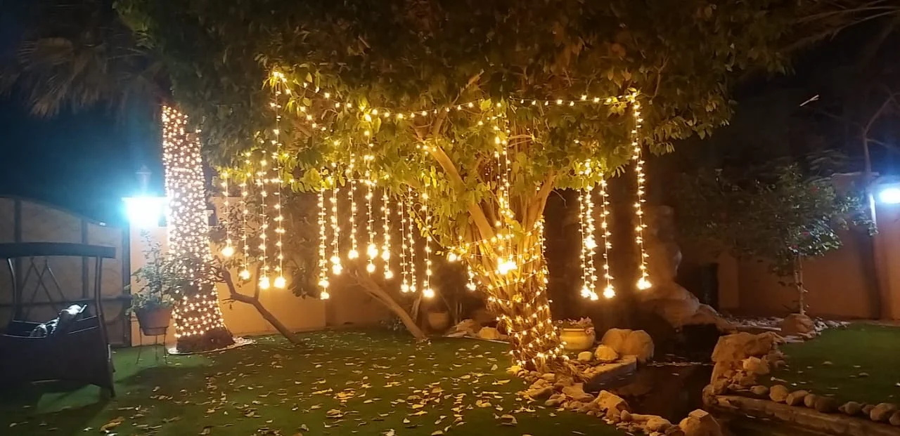 fairy lights